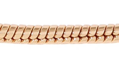 Ettika Snake Chain Necklace In Gold
