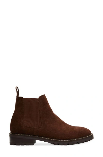 Shop Steve Madden Leopold Chelsea Boot In Brown Sued