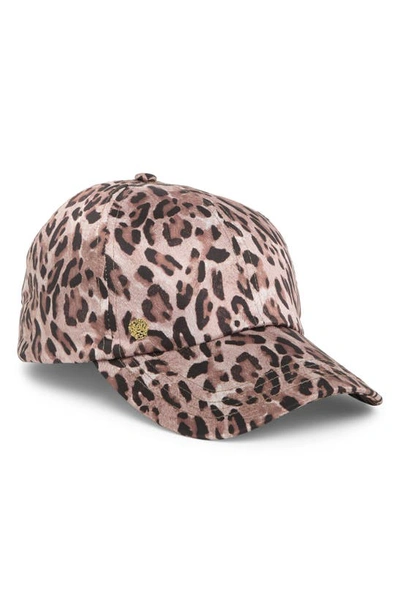 Vince Camuto Leopard Print Baseball Cap In Leopard