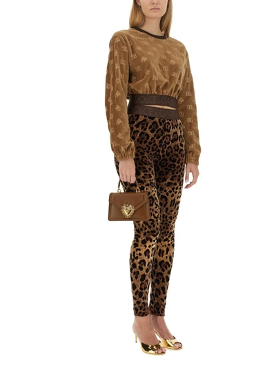 Dolce & Gabbana High Waist Leopard Print Cotton Blend Leggings In Multicolour