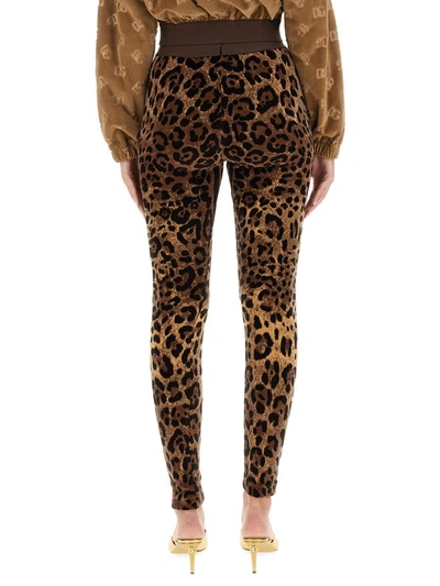 Dolce & Gabbana High Waist Leopard Print Cotton Blend Leggings In Multicolour