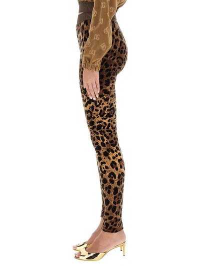 Dolce & Gabbana High Waist Leopard Print Cotton Blend Leggings In Multicolour