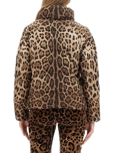 Shop Dolce & Gabbana Leopard Print Padded Jacket In Multicolour