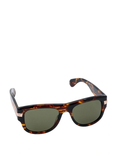 Shop Gucci Acetate Sunglasses