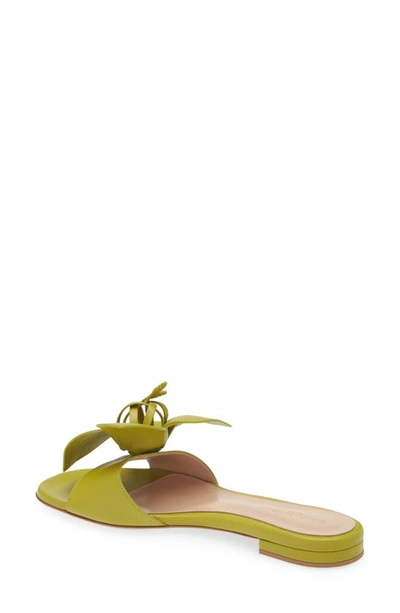 Shop Gianvito Rossi 3d Flower Slide Sandal In Pistacchio