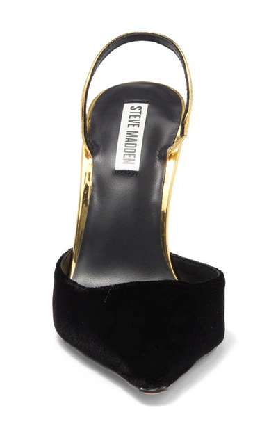 Shop Steve Madden Drew Slingback Pointed Toe Pump In Black/ Gold