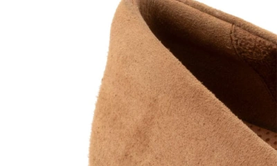 Softwalk Walsh Loafer In Camel Suede