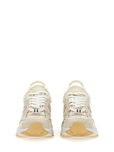 Shop Ash Sneaker "race" In White