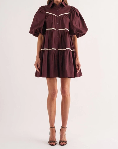 Sofie The Label Lena Shirt Dress In Brown In Brown