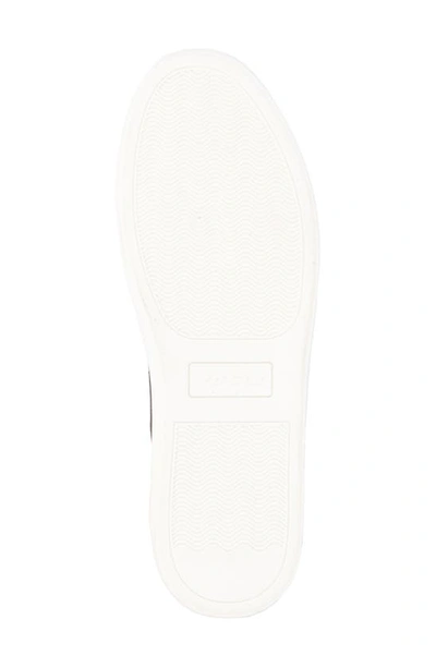 X-ray Hollis Canvas Sneaker In Black