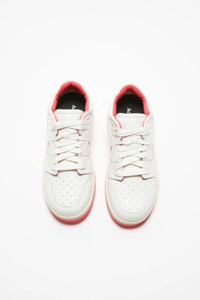 Shop Acne Studios Low Top Sneakers In White/electric Pink