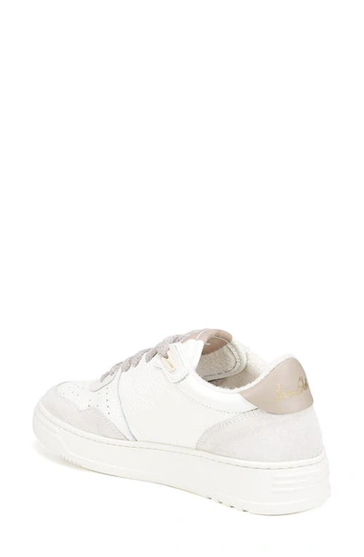 Shop Sam Edelman Mitsuha Sneaker In White/ Meringue