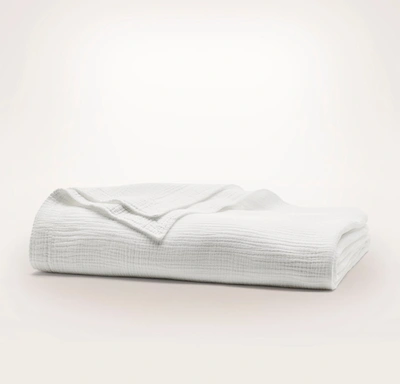 Boll & Branch Dream Bed Blanket In White