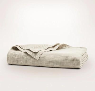 Shop Boll & Branch Organic Dream Bed Blanket In Sand