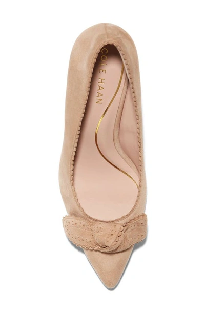 Shop Cole Haan Bellport Bow Pointed Toe Pump In Blush Tan Suede