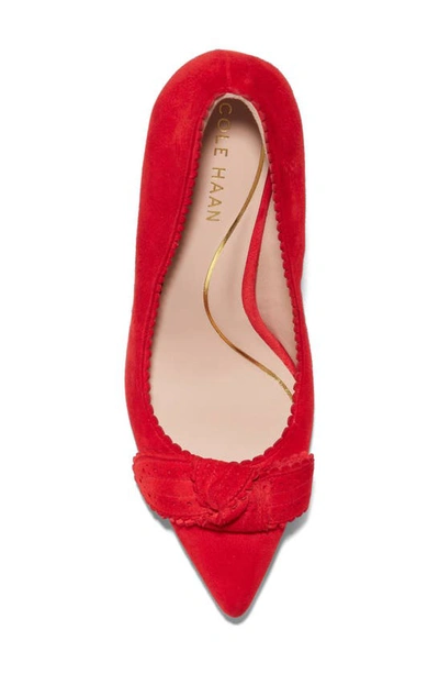 Shop Cole Haan Bellport Bow Pointed Toe Pump In True Red Suede