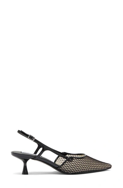 Shop Steve Madden Legaci Slingback Pointed Toe Pump In Black Multi
