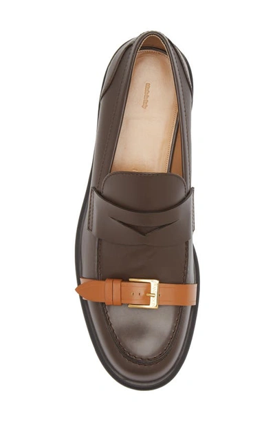 Shop Jw Anderson Belted Penny Loafer In Calf Dark Brown/ Calf Tan