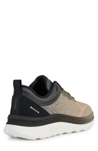 Shop Geox Spherica Actif X Sneaker In Sage/ Black