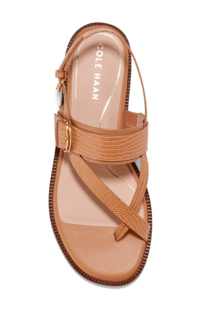 Shop Cole Haan Anica Lux Slingback Sandal In Pecan Leather
