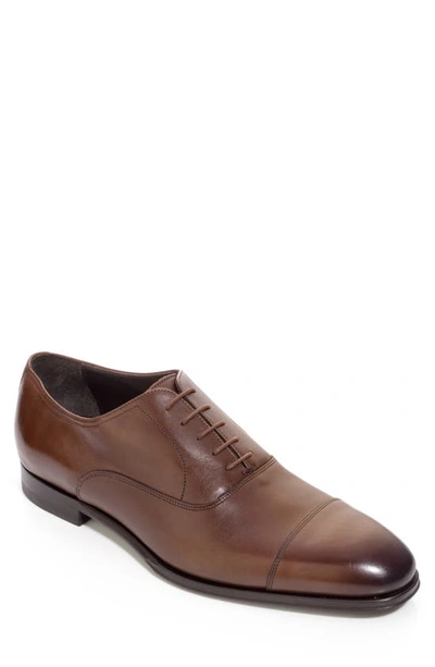 Shop To Boot New York Nico Oxford In Butter Bruciato Ant