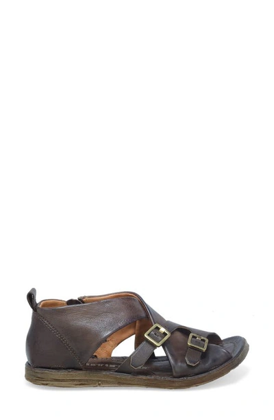 As98 Riggs Sandal In Chocolate