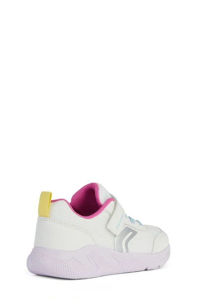Shop Geox Kids' Sprintye Sneaker In White