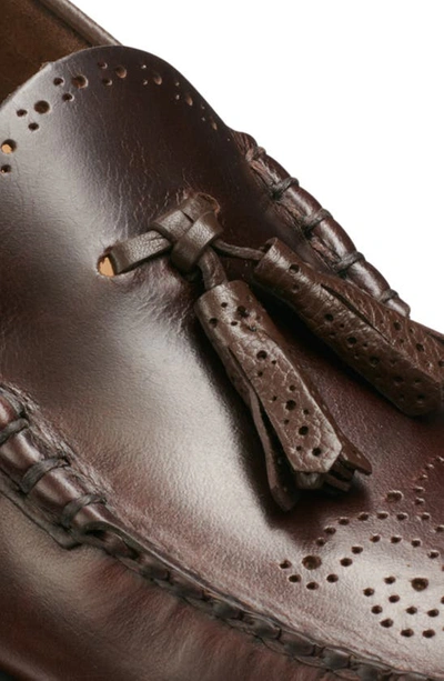 G.h.bass Larkin Tassel Brogue Weejun Loafer In Brown