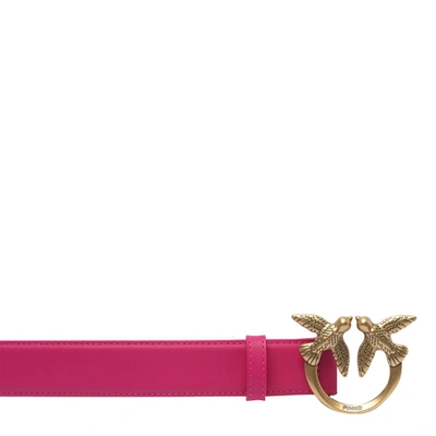 Shop Pinko Belts In Fuchsia
