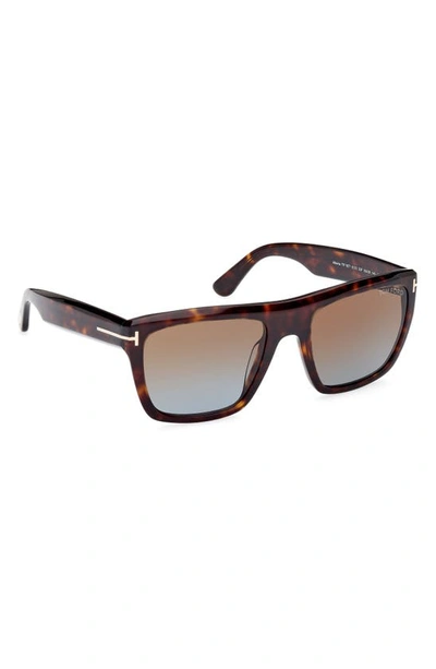 Shop Tom Ford Alberto 55mm Square Sunglasses In Shiny Havana / Brown Blue