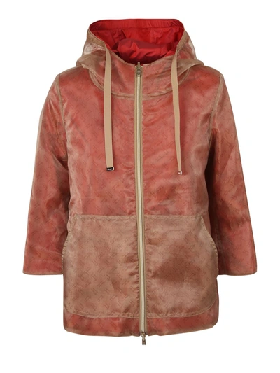 Herno Monogram Jacket In Beige
