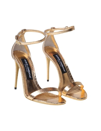 Shop Dolce & Gabbana Python Leather Sandal In Gold