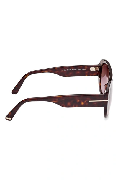 Shop Tom Ford Cecil 55mm Pilot Sunglasses In Shiny Dark Havana / Bordeaux