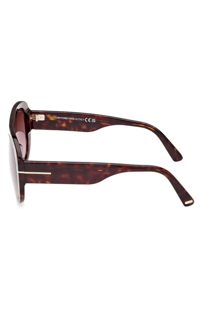 Shop Tom Ford Cecil 55mm Pilot Sunglasses In Shiny Dark Havana / Bordeaux