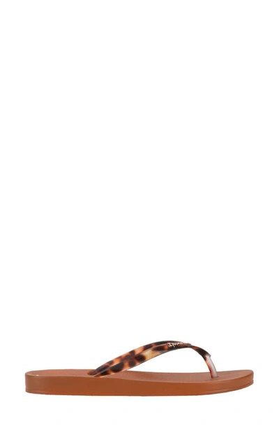 Ipanema Ana Flip Flop In Brown/ Clear