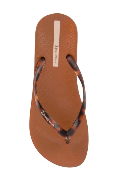 Shop Ipanema Ana Flip Flop In Brown/ Clear