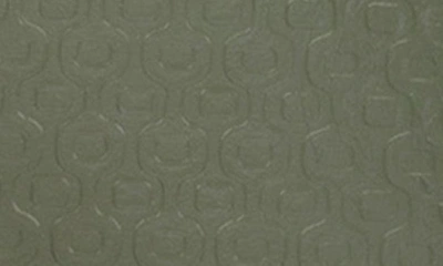Ipanema Ana Flip Flop In Green/ Clear