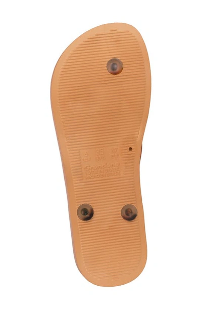 Ipanema Ana Flip Flop In Brown/ Clear
