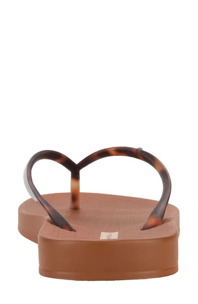Ipanema Ana Flip Flop In Brown/ Clear