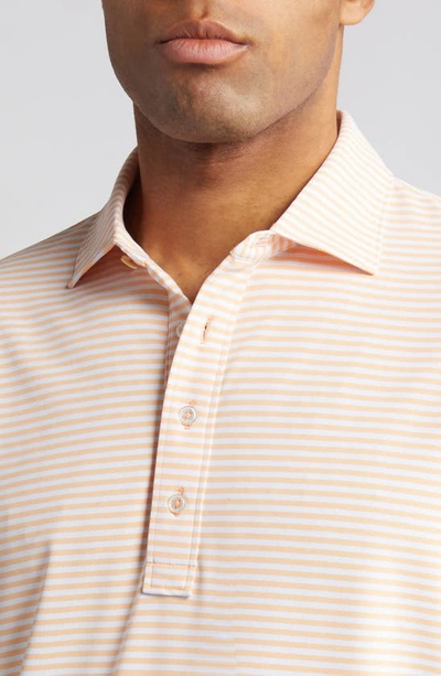 Shop Peter Millar Crown Crafted Mood Mesh Performance Polo In Orange Sorbet