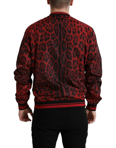 Shop Dolce & Gabbana Red Leopard Nylon Bomber Men's Jacket