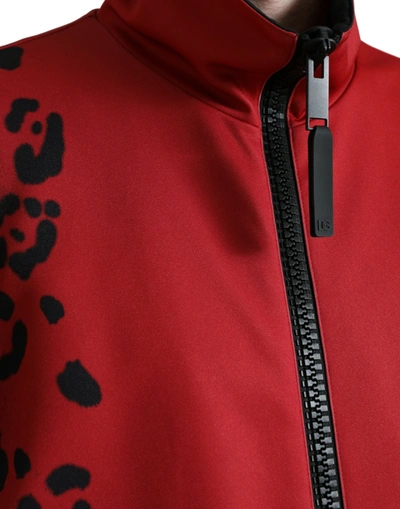 Shop Dolce & Gabbana Stunning Leopard Print Bomber Men's Jacket In Red