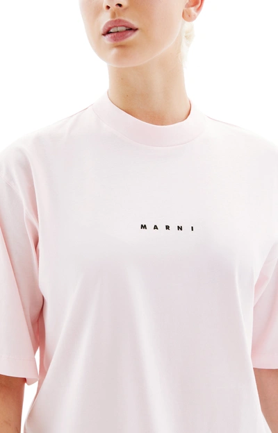 Shop Marni Cotton Logo T-shirt In Pink