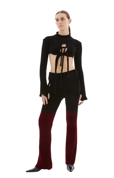 Shop Ottolinger Knit Pants In Black/red