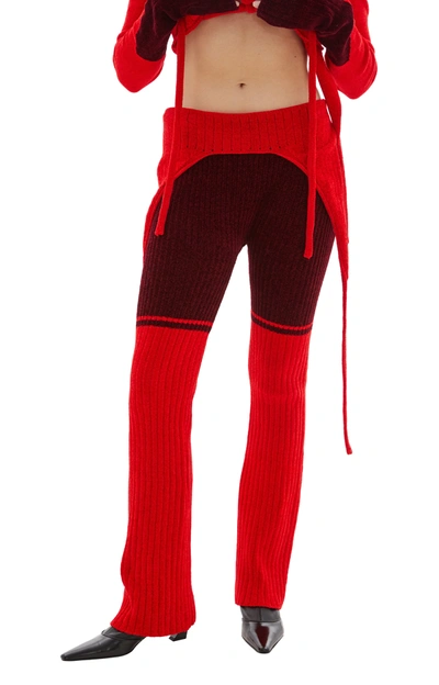 Shop Ottolinger Knit Pants In Red