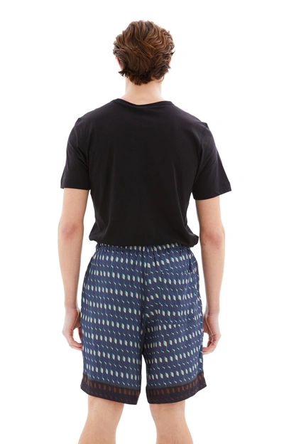 Dries Van Noten Piperi Pants In Blue