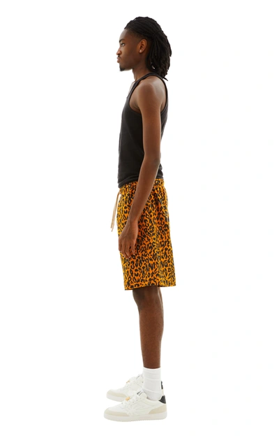 Shop Palm Angels Cheetah Shorts In Orange/black