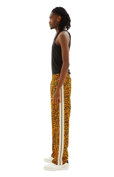 Shop Palm Angels Cheetah Track Pants In Orange/black
