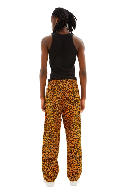 Shop Palm Angels Cheetah Track Pants In Orange/black