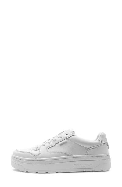 Palladium Pallasphalt Platform Sneaker In Star White